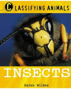 Insects (Classifying Animals)