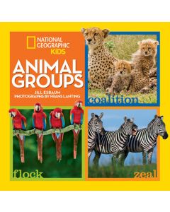 Animal Groups