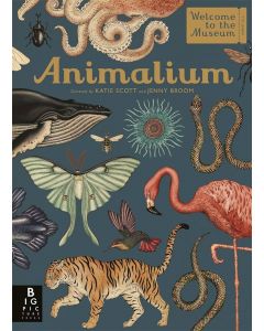 Animalium