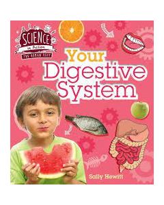 Your Digestive System