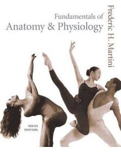 Fundamentals of Anatomy and Physiology 6th Edition