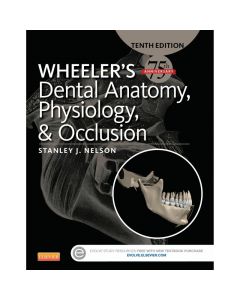 Wheeler's Dental Anatomy, Physiology And Occlusion