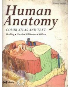 Human Anatomy 4th Edition