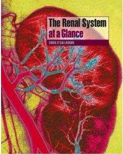 The Renal System at a Glance