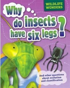 Why do insects have six legs?