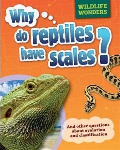 Why do reptiles have scales?