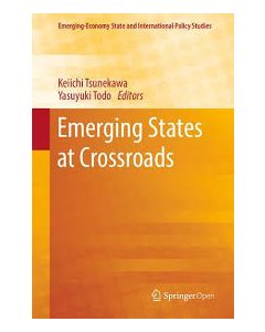 Emerging States at Crossroads ebook